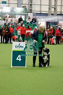 Obedience Prints: Inter-Regional Obedience Competition