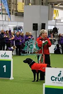 Obedience Prints: Inter-Regional Obedience Competition