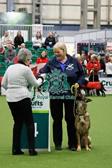 Obedience Prints: Inter-Regional Obedience Competition