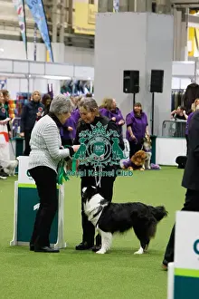 Obedience Prints: Inter-Regional Obedience Competition