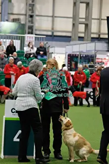 Obedience Prints: Inter-Regional Obedience Competition