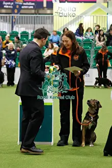 Obedience Prints: Inter-Regional Obedience Competition