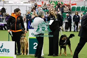 Obedience Prints: Inter-Regional Obedience Competition