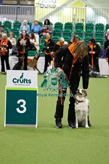 Obedience Prints: Inter-Regional Obedience Competition