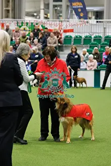 Obedience Prints: Inter-Regional Obedience Competition