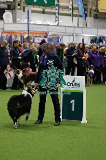 Obedience Prints: Inter-Regional Obedience Competition