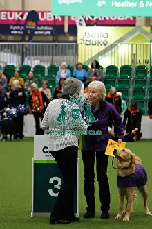 Obedience Prints: Inter-Regional Obedience Competition