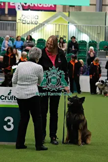 Obedience Prints: Inter-Regional Obedience Competition