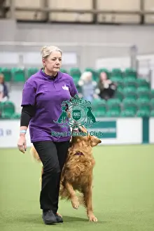 Inter Regional Obedience Competition - Class A2, Crufts 2026<br> Inter Regional Obedience Competition - Class A2, Crufts 2026