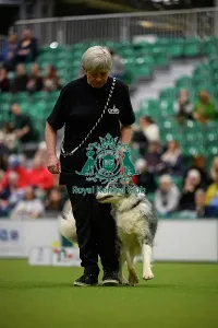 Crufts 2026 Rally Prints: Inter-Regional Rally Competition today (05)