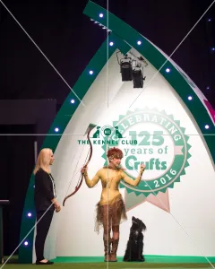 Heelwork