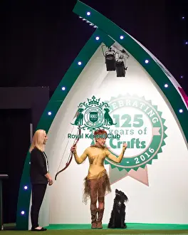 International Heelwork to Music - Freestyle competition