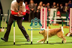 International Invitation - Large - Agility