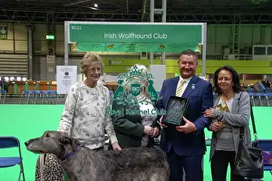 Irish Wolfhound Prints: Irish Wolfhound breed club wins best hound breed club of Crufts 2025