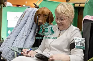 Hungarian Vizsla Prints: Isabelle Aaron from France with Turkane de Champcleuet