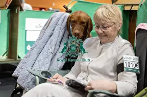 Hungarian Vizsla Prints: Isabelle Aaron from France with Turkane de Champcleuet