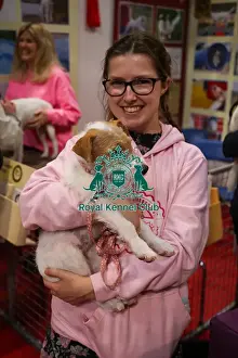 Crufts 2025 Discover Dogs Prints: Jack Russell Terrier at Discover Dogs