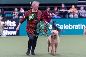 Belgian Shepherd Dog Laekenois Prints: Jacki Snook from Leicestershire with Leffe