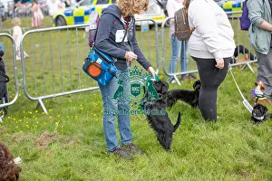 Good Citizen Dog Scheme Class Prints: James Wellbeloved Chelmsford Dog And Owner Good Citizen Dog Scheme Class
