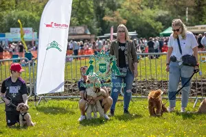 Chelmsford Prints: James Wellbeloved Most Handsome Crossbreed Dog Class