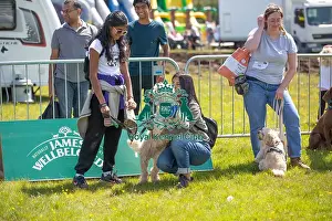 Chelmsford Prints: James Wellbeloved Most Handsome Crossbreed Dog Class