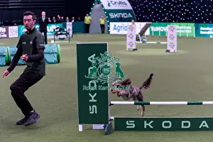 Fourth Place Prints: Jamie Wright with Dexter, which was placed fourth in the Medium Championship Agility Final