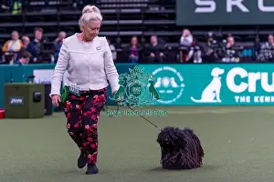 Hungarian Puli Prints: Jan Bodle from Southport with Elsie