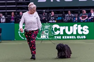 Hungarian Puli Prints: Jan Bodle from Southport with Elsie