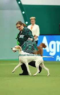 Pointer Prints: Jane Webb and Rachel Philo from Kenilworth with Frankie