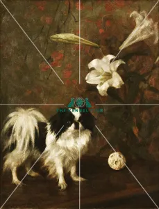 Japanese Chin