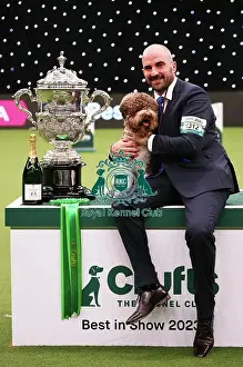 Javier Gonzalez Menicote from Croatia with Orca, a Lagotto Romagnolo, who won the coveted title of Best in Show today (Sunday 12. 03. 23), the final day of Crufts 2023, at the NEC Birmingham