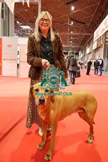 Thursday Prints: Jaz the Rhodesian Ridgeback with owner in Discover Dogs