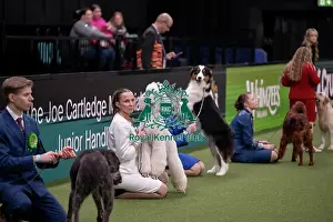 Competition Prints: Joe Cartledge International Junior Handling Competition