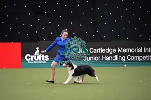 Competition Prints: Joe Cartledge International Junior Handling Competition
