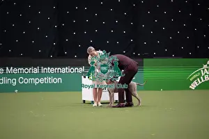 Competition Prints: Joe Cartledge International Junior Handling Competition