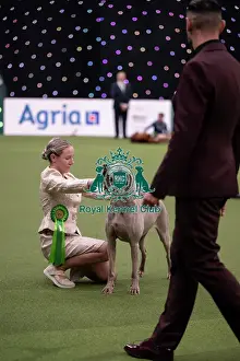 Competition Prints: Joe Cartledge International Junior Handling Competition