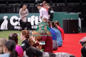 Competition Prints: Joe Cartledge International Junior Handling Competition