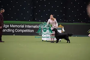 Competition Prints: Joe Cartledge International Junior Handling Competition