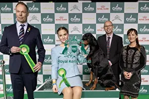 Judge Prints: Joe Cartledge Memorial International Junior Handling Competition