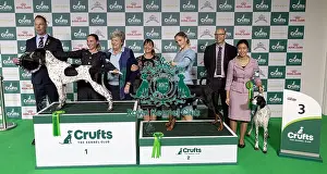 Judge Prints: Joe Cartledge Memorial International Junior Handling Competition