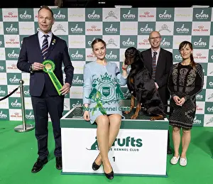 Judge Prints: Joe Cartledge Memorial International Junior Handling Competition