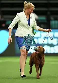 Joy Middleton from Leatherhead with Hebe, Retriever Chesapeake Bay, which was the Best of Breed winner today (Thursday 09. 03. 23), the first day of Crufts 2023, at the NEC Birmingham