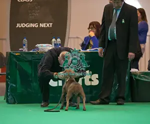 Judging eye to eye