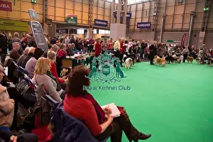 Judging ring shot