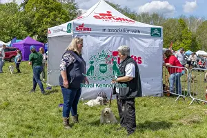 Chelmsford Prints: Judging Scruffts Family Crossbreed Competition