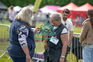 Chelmsford Prints: Judging Scruffts Family Crossbreed Competition