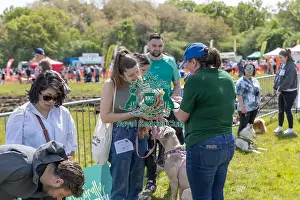 Chelmsford Prints: Judging Scruffts Family Crossbreed Competition