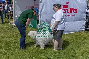 Chelmsford Prints: Judging Scruffts Family Crossbreed Competition