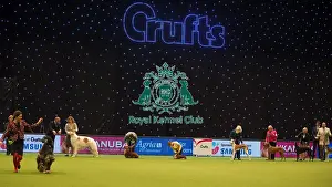 Crufts 2015 Prints: judging of Utility Group