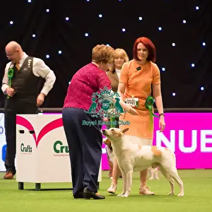 judging of Utility Group